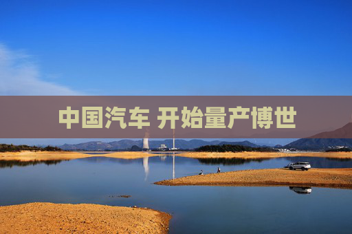 中国汽车 开始量产博世  第1张
