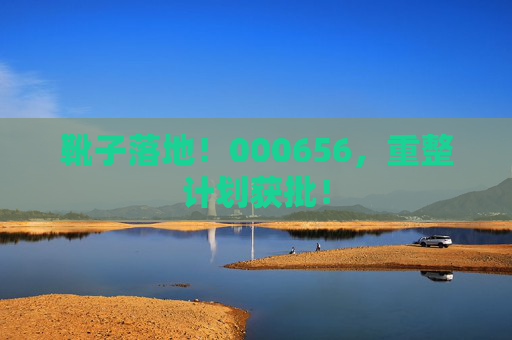 靴子落地！000656，重整计划获批！  第1张
