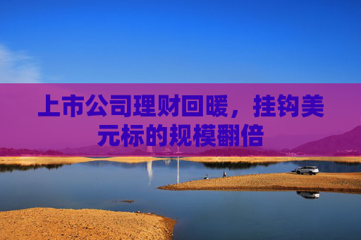 上市公司理财回暖，挂钩美元标的规模翻倍  第1张