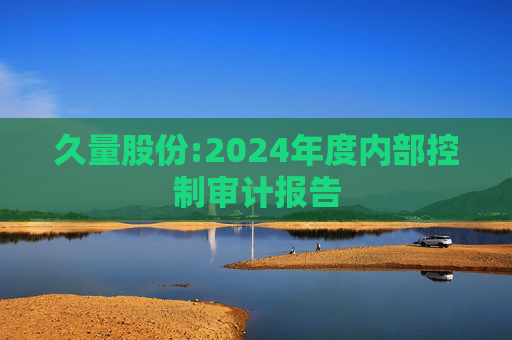 久量股份:2024年度内部控制审计报告  第1张