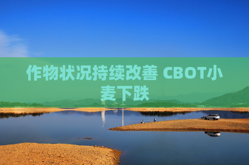 作物状况持续改善 CBOT小麦下跌  第1张