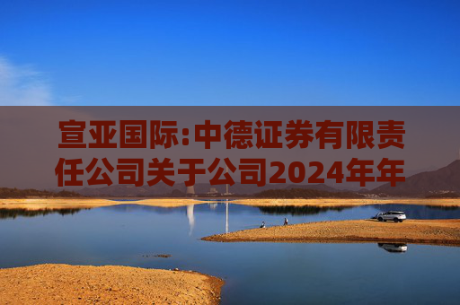 宣亚国际:中德证券有限责任公司关于公司2024年年度跟踪报告