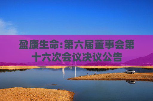 盈康生命:第六届董事会第十六次会议决议公告  第1张