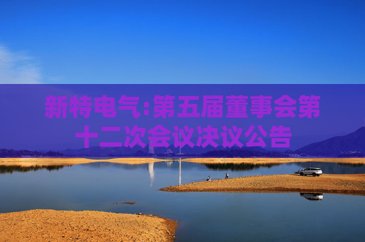 新特电气:第五届董事会第十二次会议决议公告  第1张