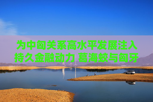 为中匈关系高水平发展注入持久金融动力 葛海蛟与匈牙利总理欧尔班举行工作会谈  第1张