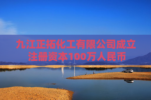 九江正拓化工有限公司成立 注册资本100万人民币  第1张