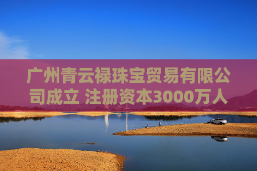 广州青云禄珠宝贸易有限公司成立 注册资本3000万人民币  第1张