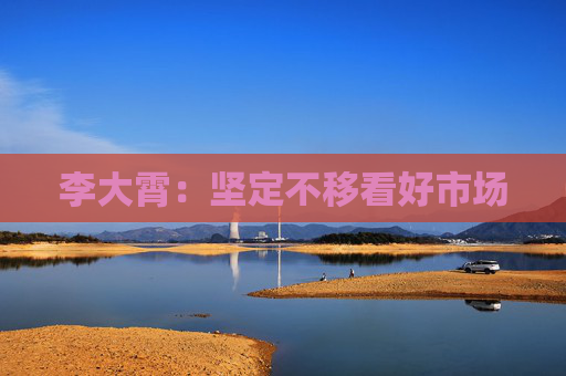 李大霄：坚定不移看好市场