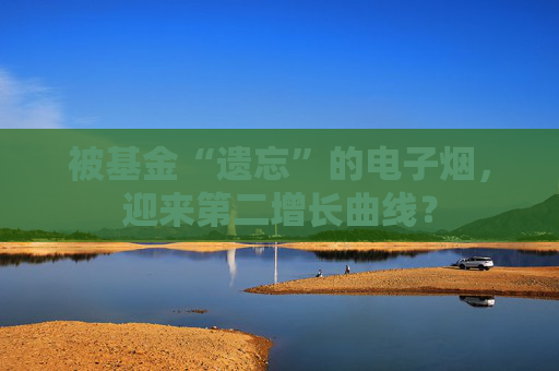 被基金“遗忘”的电子烟，迎来第二增长曲线？