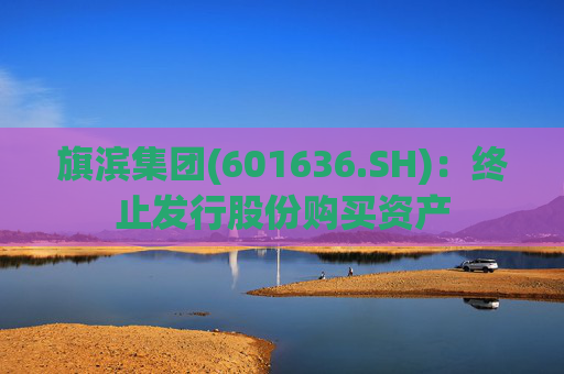 旗滨集团(601636.SH)：终止发行股份购买资产