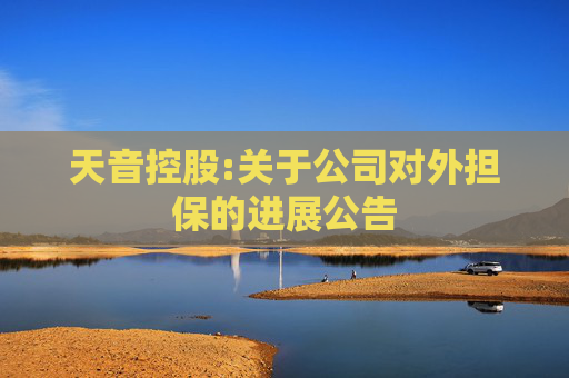 天音控股:关于公司对外担保的进展公告