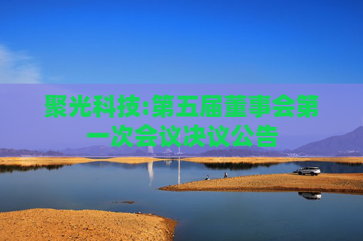 聚光科技:第五届董事会第一次会议决议公告