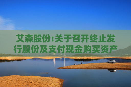 艾森股份:关于召开终止发行股份及支付现金购买资产并募集配套资金事项投资者说明会的公告