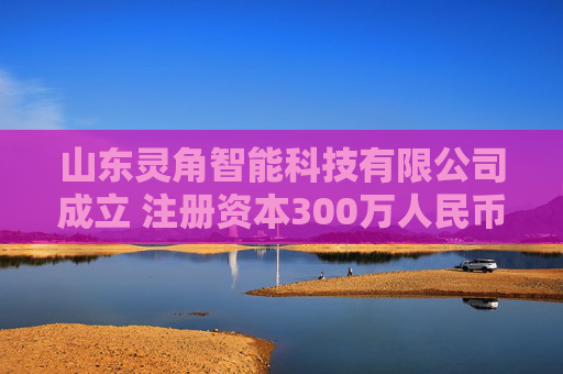 山东灵角智能科技有限公司成立 注册资本300万人民币