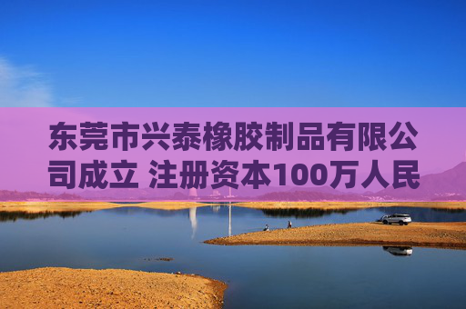 东莞市兴泰橡胶制品有限公司成立 注册资本100万人民币