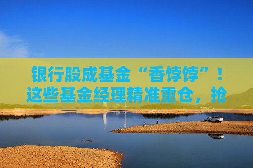银行股成基金“香饽饽”！这些基金经理精准重仓，抢筹上海银行、宁波银行