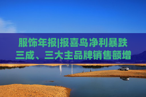 服饰年报|报喜鸟净利暴跌三成、三大主品牌销售额增长乏力 战略扩张与财务承压的双重困局
