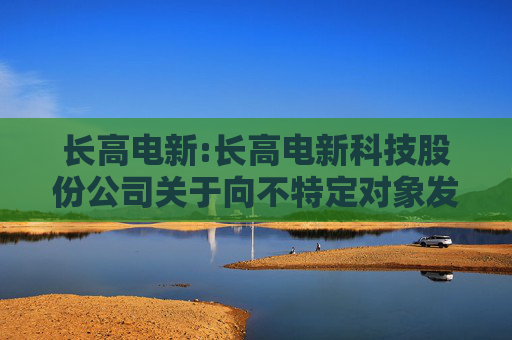 长高电新:长高电新科技股份公司关于向不特定对象发行可转换公司债券预案及相关文件修订情况说明的公告