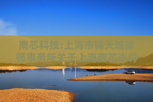 南芯科技:上海市锦天城律师事务所关于上海南芯半导体科技股份有限公司2025年限制性股票激励计划调整及首次授予事项之法律意见书