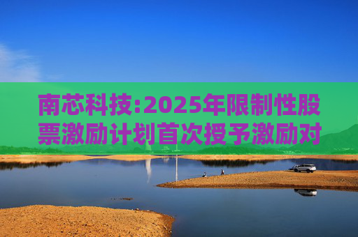 南芯科技:2025年限制性股票激励计划首次授予激励对象名单（首次授予日）