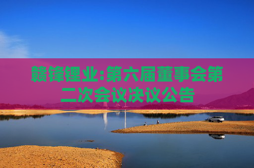 赣锋锂业:第六届董事会第二次会议决议公告