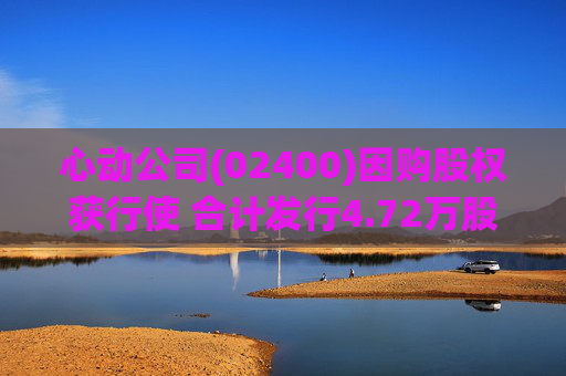 心动公司(02400)因购股权获行使 合计发行4.72万股