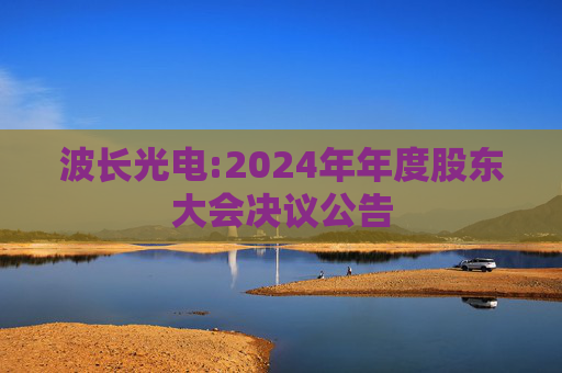 波长光电:2024年年度股东大会决议公告