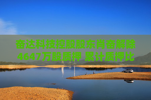 奋达科技控股股东肖奋解除4647万股质押 累计质押比例达74.15%