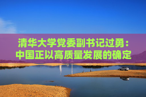 清华大学党委副书记过勇：中国正以高质量发展的确定性为世界经济提供“稳定锚”