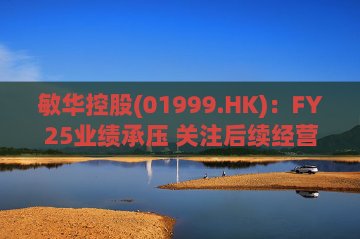 敏华控股(01999.HK)：FY25业绩承压 关注后续经营改善