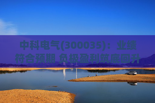 中科电气(300035)：业绩符合预期 负极盈利筑底回升