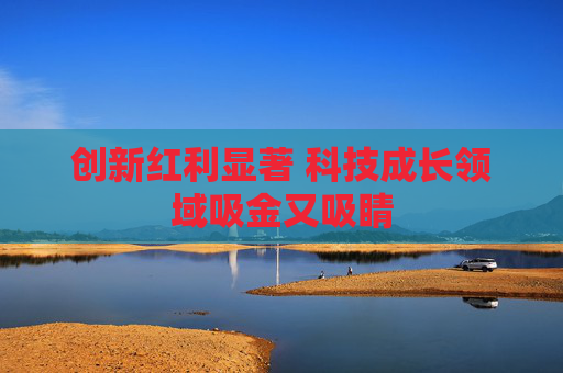 创新红利显著 科技成长领域吸金又吸睛