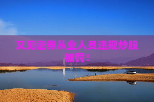 又见证券从业人员违规炒股被罚！