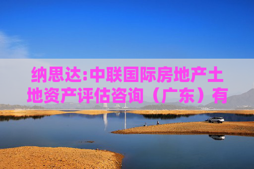 纳思达:中联国际房地产土地资产评估咨询（广东）有限公司关于纳思达股份有限公司重大资产重组前发生业绩“变脸”或本次重组存在拟出售资产情形相关事项之专项核查意见