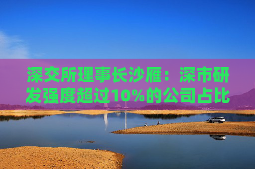 深交所理事长沙雁：深市研发强度超过10%的公司占比14%