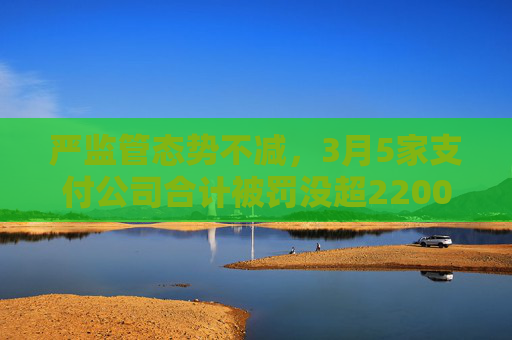 严监管态势不减，3月5家支付公司合计被罚没超2200万元，盛迪嘉支付月内二领罚单