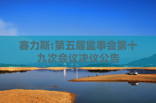 赛力斯:第五届监事会第十九次会议决议公告