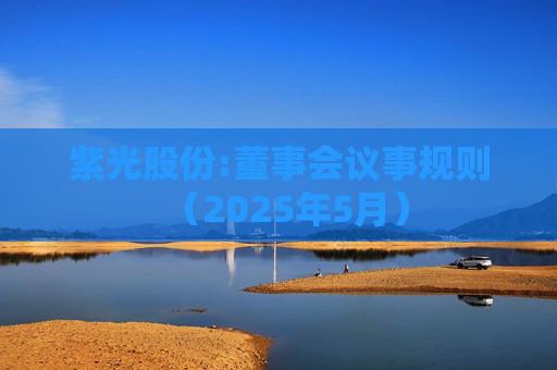 紫光股份:董事会议事规则（2025年5月）