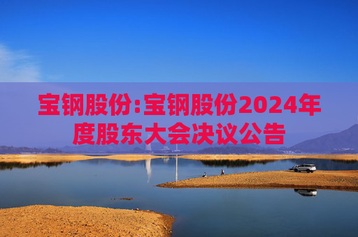 宝钢股份:宝钢股份2024年度股东大会决议公告