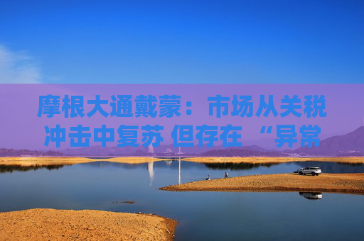 摩根大通戴蒙：市场从关税冲击中复苏 但存在 “异常的自满情绪”
