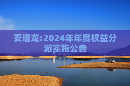 安培龙:2024年年度权益分派实施公告