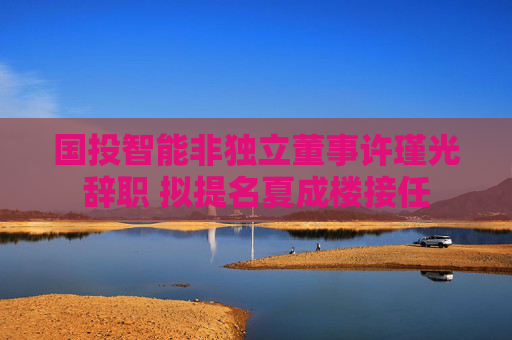 国投智能非独立董事许瑾光辞职 拟提名夏成楼接任