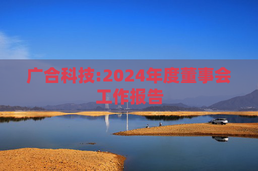 广合科技:2024年度董事会工作报告  第1张