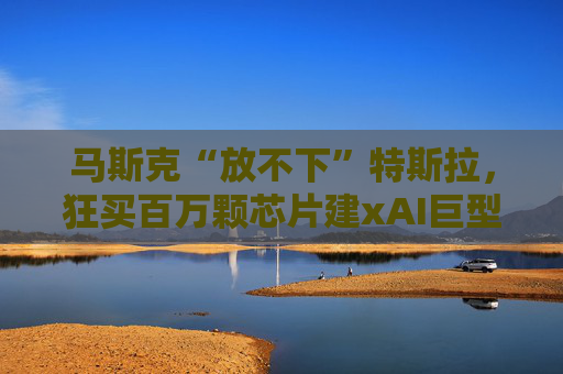 马斯克“放不下”特斯拉，狂买百万颗芯片建xAI巨型工厂