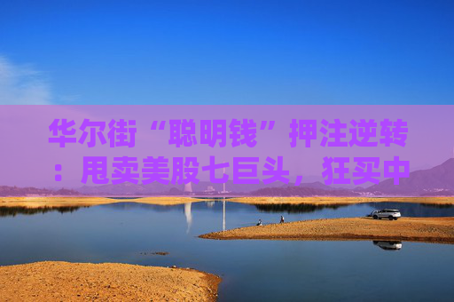 华尔街“聪明钱”押注逆转：甩卖美股七巨头，狂买中国科技股！