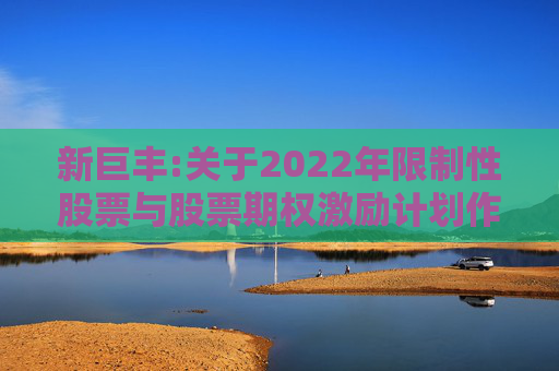 新巨丰:关于2022年限制性股票与股票期权激励计划作废部分第二类限制性股票及注销部分股票期权的公告