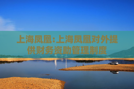 上海凤凰:上海凤凰对外提供财务资助管理制度