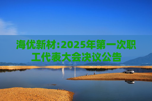 海优新材:2025年第一次职工代表大会决议公告