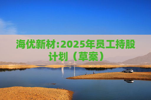 海优新材:2025年员工持股计划（草案）