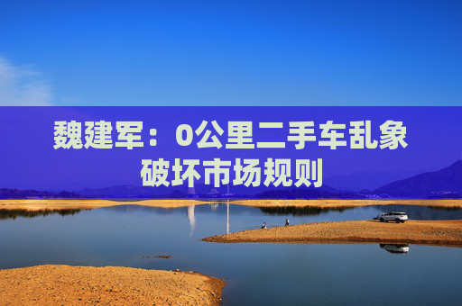 魏建军：0公里二手车乱象破坏市场规则